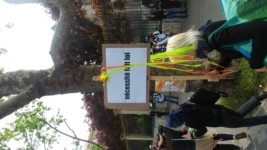 nécessité fait loi